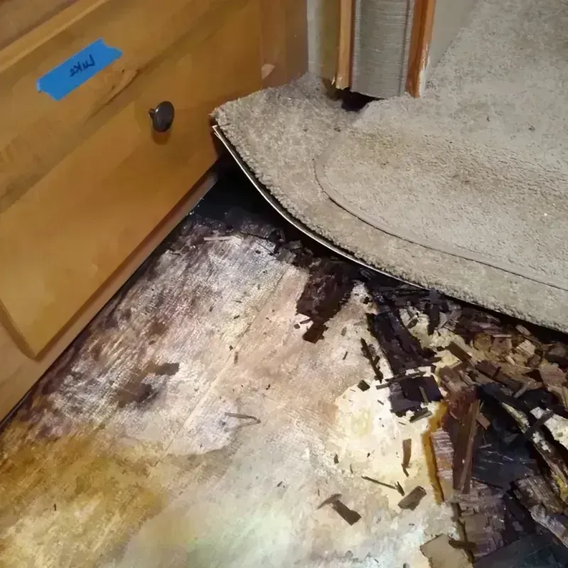 Wood Floor Water Damage in Cuyahoga Falls, OH